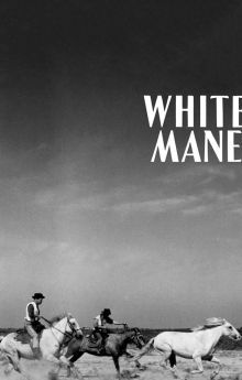 White Mane